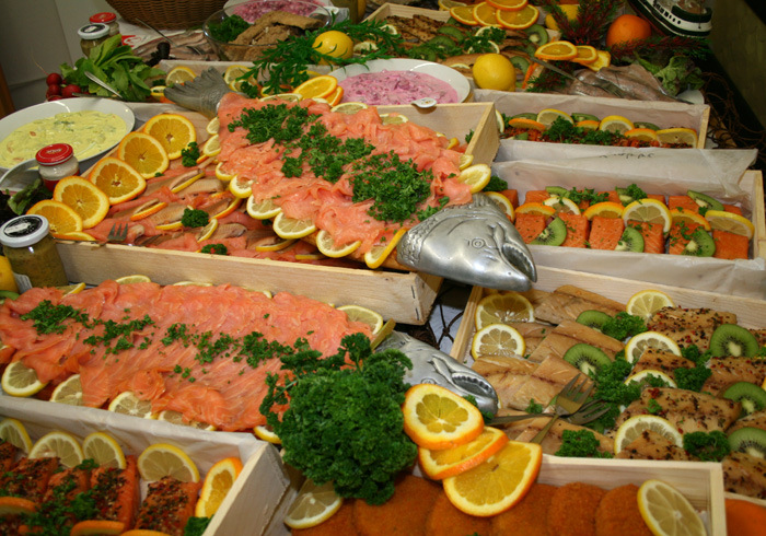 04_fisch2015.jpg