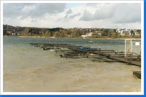 Klicken Sie auf das Bild, um es zu vergr&ouml;&szlig;ern