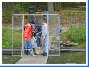 Klicken Sie auf das Bild, um es zu vergr&ouml;&szlig;ern